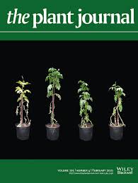 Check spelling or type a new query. The Plant Journal Wiley Online Library