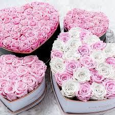 The Royal Roses Rosenbox Flowerbox Infinity Rosen In 2020 Rosen Box Valentinstag Blumen Rosenboxen
