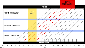 Delayed Effect Of 1918 Influenza Flu On Births As A Result Of Download Scientific Diagram