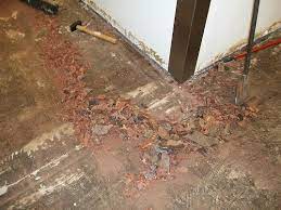 Asbestos in carpet glue posted by teamjabal ⋅ juli 21, 2011 ⋅ tinggalkan komentar question : Asbestos Floor Tile Removal Guidance Photographs Eh Minnesota Department Of Health