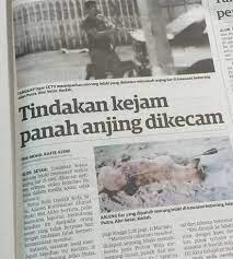 #utusanmelayu #utusanmalaysia #kosmo #malaysia #neelofa. Dua Lelaki Direman Tiga Hari Panah Anjing Utusan Digital