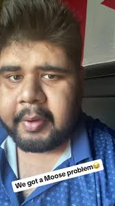 Moose Heard Running Past Truck