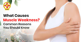 Image result for Muscle Weakness Causes