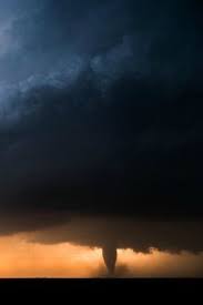 Ray Forman Rayforman - Profile Pinterest