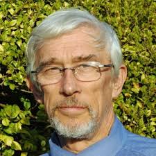 Newcastle upon Tyne local election: The 4 candidates in Wingrove