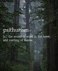 Psithurism The Sound Of Leaves Rustling As The Wind Blows Through The Trees Rare Words Weird Words Unusual Words