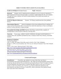 Contents of a lesson observation form. Direct Instruction Lesson Plan Example Grade Level