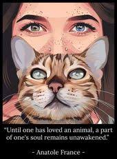 Grace Feltner (stageofgrace)