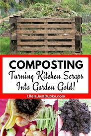 What Is Composting And Why Your Garden Needs Compost How To Make Compost Vegetable Garden Tips Composting 101