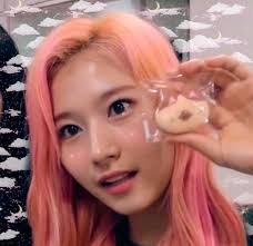 Sana Icon Pink Hair Icon Pink Hair Excess Hair