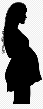 Beautiful pregnant woman, vector line drawing pregnant woman heart and floral swirls retro silhouette background. Of Pregnant Woman At Getdrawings Com Free Silhouette Pregnant Woman Png Transparent Png 2000x4890 1806761 Pngfind