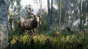 The skunk is a species of animal found in red dead redemption 2. Red Dead Redemption 2 How To Get Perfect Pelts For Every Animal What They Do