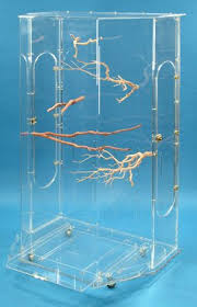 Bird Cage Seed Guard Acrylic Uk Acrylic Bird Cages Samples Page Acrylic Bird Cage Bird Cage Design Macaw Cage
