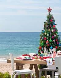 This time last year and earlier this year, bushfire s made a catastrophic impact on our australian wildlife. 60 Australian Christmas Ideas Australian Christmas Aussie Christmas Christmas In Australia
