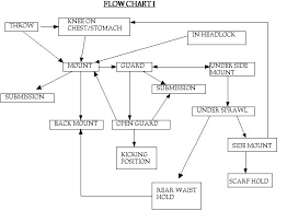 flow diagrams rickson gracies jiu jitsu secret