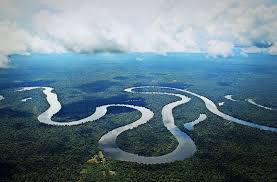 Welcome to the heart of the amazon. Geowissenschaften Der Umgedrehte Amazonas Wissen Stuttgarter Zeitung