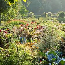 Maybe you would like to learn more about one of these? Forderkreis Stadtpark Botanischer Garten Gutersloh Facebook