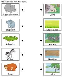 Pin On Activity Kids