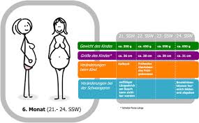 Aber der bauchnabel gugt schon raus 24 Schwangerschaftswoche Ssw Wachstum Entwicklung Gewichtszunahme Untersuchungen Glukosetoleranztest