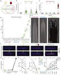 Maybe you would like to learn more about one of these? Sensory Discrimination Of Blood And Floral Nectar By Aedes Aegypti Mosquitoes Sciencedirect