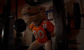 Earn 3% on eligible purchases of denver broncos accessories and gifts at fanatics. Denver Broncos News Mascot Miles Has Been Working Out