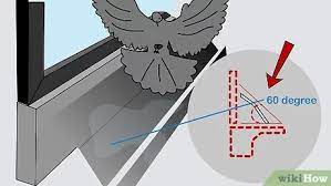 How to apply bird repellent to your roof | hotfoot.com. 3 Ways To Get Rid Of Pigeons Wikihow