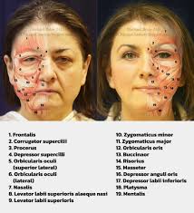 Cosmetic Surgery & Plastic Surgeon Chicago