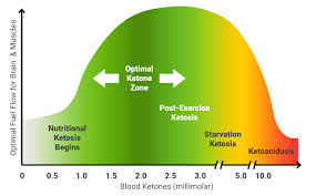 46 veritable ketone levels chart keto diet