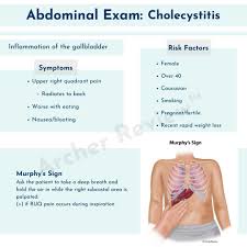 Image result for Shifting Dullness Test