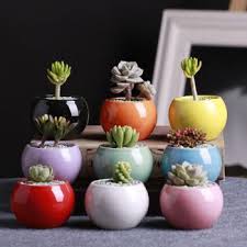 At trustbasket, you can also check out other kinds of gardening supplies such as parsley seeds, vinca white seeds, onion seeds, bokashi bin, grow kits & grow bags. Artificial Table Plants Pots Buy Artificial Table Plants Pots Online At Low Prices Club Factory