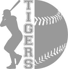 Download Pin On Baseball