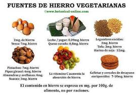 Dieta Rica En Hierro Botanical Online
