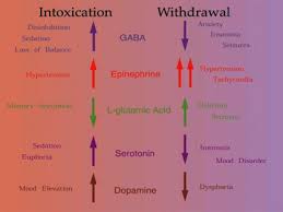 alcohol withdrawal timeline and body repair after quitting