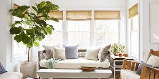 These are easy to grow plants that are beautiful and helpful at the same time. 18 Best Indoor Trees Large Indoor Plants For Every Room In Your Home