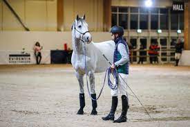 Se alla tre härligt nördiga avsnitten med lisen knackar på hos peder fredricson. Peder Fredricson Hasten Ska Nastan Bli Som En Liten Boll Ridsport