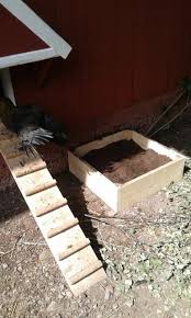 Sandbad Jordbad Huhner Huhnerstall Garten