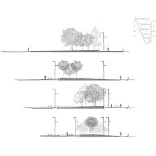 Carmen Fiol Andreu Arriola Arriola Fiol Massimiliano Fiore Pasquale A De Nicolo Vincenzo Paolo Bagnato Andreu Arriola Michele Ce Urban Fiori Gardenia