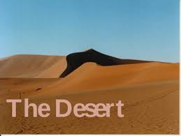 Maybe you would like to learn more about one of these? Desert Powerpoint Worksheets Teaching Resources Tpt
