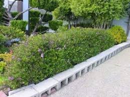 I already showed you how to make a pallet gardening table my suggestion is to use them as edging for the vegetable garden and the best way to do it is by cutting. 17 Diy Garden Edging Ideas That Bring Style And Beauty To Your Outdoors Diy Crafts