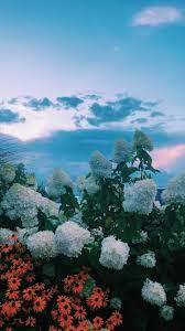 Pinterest Voguesmoothie Instagram Giannasegura Landscape Wallpaper Aesthetic Backgrounds Sky Aesthetic