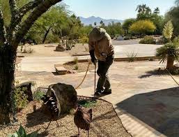 Our pest control exterminators and weed control technicians are friendly & reliable, not to mention experts in their field! Commercial Residential Weed Control In Paradise Valley Az