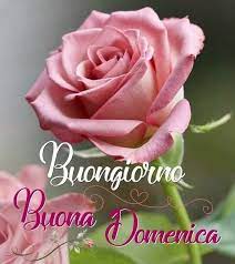 Pin Di Marika Iaia 82 Su Domenica Buona Domenica Auguri Di Buongiorno Immagini