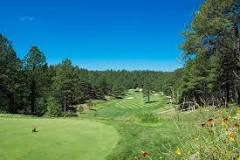 Image result for how much to play southern highlands golf course