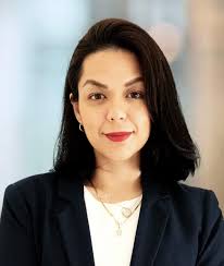 The Political Finance Design Tool