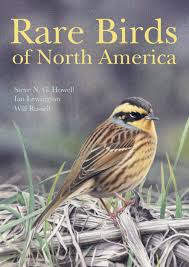 Birds That Start With The Letter N Rare Birds Rare Birds North America Birds