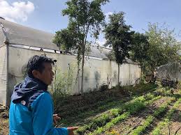 Healing the Amazon Through Ancestral Farming Traditions