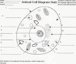 Maybe you would like to learn more about one of these? 30 Label Animal Cell Quiz Label Design Ideas 2020