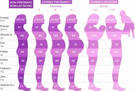 Clean Weight Chart Photos Weight Chart 36 Weeks Pregnant Six