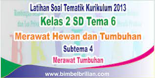 Soal ulangan kelas 3 tema 6 subtema 1 dan 2 materi klasik Soal Tematik Kelas 2 Sd Tema 6 Subtema 4 Merawat Tumbuhan Dan Kunci Jawaban Bimbel Brilian