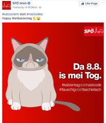Katzenfreunde nehmen den aktionstag zum anlass, um das zusammenleben mit den charismatischen vierbeinern zu feiern. So Werben Die Parteien Am Weltkatzentag Mit Cat Content